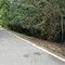 Sfalci a fuoco a Tollegno vicino al bosco, intervento tempestivo dei Vigili del Fuoco, foto archivio