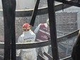 Casale Monferrato, incendio videoteca: sul posto anche i Vigili del Fuoco di Biella Casale Monferrato, incendio videoteca: sul posto anche i Vigili del Fuoco di Biella