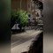 Assaltano un'armeria nel Cagliaritano, in un video le urla e gli spari nella notte Assaltano un'armeria nel Cagliaritano, in un video le urla e gli spari nella notte