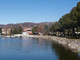 viverone autore