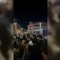 I maturandi cantano 'Notte prima degli esami', a Roma il rito si ripete I maturandi cantano 'Notte prima degli esami', a Roma il rito si ripete