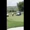 Trump e il colpo vincente a golf: "Io ho talento e voi no" Trump e il colpo vincente a golf: "Io ho talento e voi no"