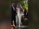 Aurora Ramazzotti si sposa, il video dell'ingresso con papà Eros