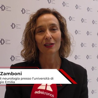Alzheimer: Zamboni (UniMore), 'farmaci recenti puntano la proteina responsabile patologia' Alzheimer: Zamboni (UniMore), 'farmaci recenti puntano la proteina responsabile patologia'