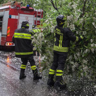 Piante sulla strada a Miagliano, intervento dei Vigili del Fuoco in piena notte (foto di repertorio)