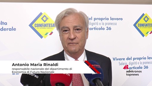 Lavoro, Rinaldi (Fn): "Diminuire cuneo fiscale è solo un palliativo" Lavoro, Rinaldi (Fn): "Diminuire cuneo fiscale è solo un palliativo"