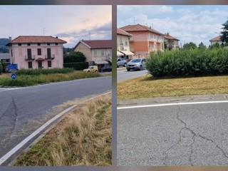 Gestione del verde a Biella, Seab: "Non era erba, era fieno" FOTO e VIDEO