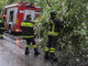 Piante sulla strada a Miagliano, intervento dei Vigili del Fuoco in piena notte (foto di repertorio)