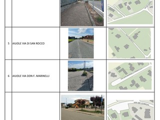 Aiuole ma anche rotonde tra le aree verdi che Verrone da in adozione