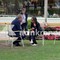 A Cernobbio prove di campo largo: Schlein e Bonelli 'a tu per tu'