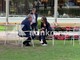 A Cernobbio prove di campo largo: Schlein e Bonelli 'a tu per tu'