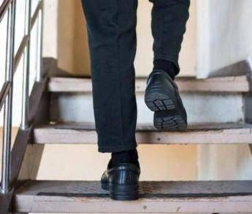 Salire (e scendere) le scale fa bene anche al cervello, lo studio Salire (e scendere) le scale fa bene anche al cervello, lo studio