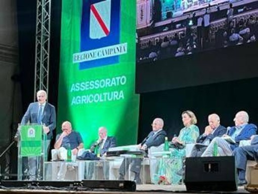 Prima giornata da record al Campania Mater, tra folla, idee e visione Prima giornata da record al Campania Mater, tra folla, idee e visione