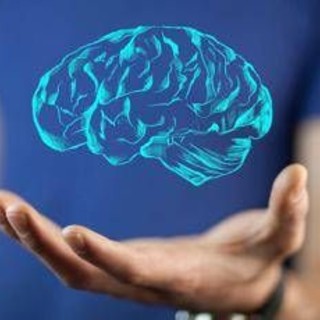 Il cervello cresce e invecchia, i 4 compleanni importanti per la mente: lo studio