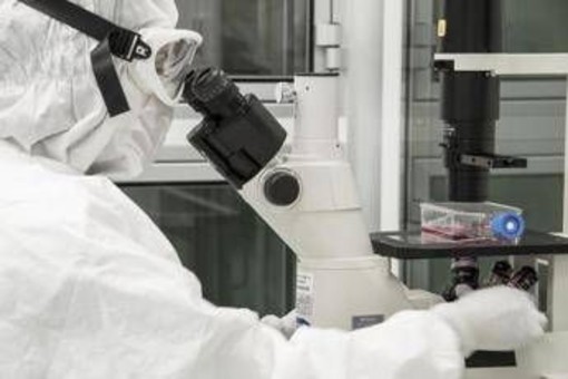 Donatore di sperma aveva mutazione genetica, 197 bambini a rischio cancro: il caso Donatore di sperma aveva mutazione genetica, 197 bambini a rischio cancro: il caso