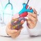 Cardiomiopatia ipertrofica ostruttiva: "Terapia innovativa efficace e sicura a 5 anni" Cardiomiopatia ipertrofica ostruttiva: "Terapia innovativa efficace e sicura a 5 anni"