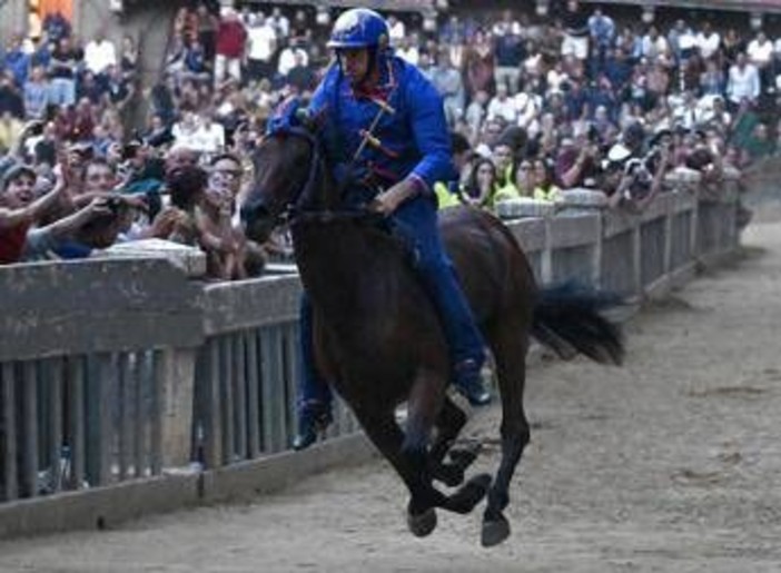 Palio Siena, notte tranquilla in ospedale per Tittia: condizioni in miglioramento Palio Siena, notte tranquilla in ospedale per Tittia: condizioni in miglioramento