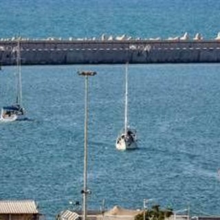 Flotilla, 46 italiani fermati da Israele. Dal carcere all'espulsione, cosa succede Flotilla, 46 italiani fermati da Israele. Dal carcere all'espulsione, cosa succede
