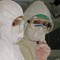 Virus Shamonda, Lopalco: "È favorito da crisi climatica, svegliamoci" Virus Shamonda, Lopalco: "È favorito da crisi climatica, svegliamoci"