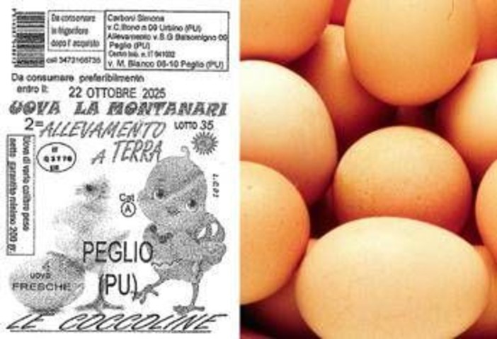 Uova ritirate dal mercato per rischio salmonella: il lotto