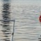 Tragedia in Croazia, scontro tra catamarano e barca a vela: 3 morti e 1 disperso Tragedia in Croazia, scontro tra catamarano e barca a vela: 3 morti e 1 disperso