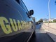 Truffa su fondi veterinari a Palermo, sequestro da 175 mila euro Truffa su fondi veterinari a Palermo, sequestro da 175 mila euro