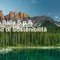 Profilo di Sostenibilità di Axpo Italia, focus su ambiente, innovazione e comunità Profilo di Sostenibilità di Axpo Italia, focus su ambiente, innovazione e comunità