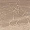 Perù, aereo con italiani a bordo sorvolava Linee di Nazca: cosa sono Perù, aereo con italiani a bordo sorvolava Linee di Nazca: cosa sono