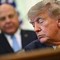 Ucraina-Russia, Trump: "Ho una proposta di pace". Witkoff e Kushner prima da Putin e poi da Zelensky Ucraina-Russia, Trump: "Ho una proposta di pace". Witkoff e Kushner prima da Putin e poi da Zelensky