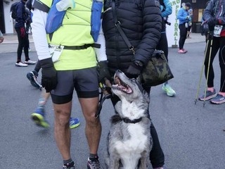 Winter Brich Trail 2026 a Valdengo, più di mille partecipanti tra competitive e camminata FOTO e VIDEO Davide Finatti per newsbiella.it