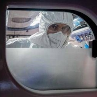 Virus Nipah in Europa e rischi contagio, cosa dice l'Ecdc e i consigli per chi viaggia