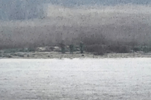 Soldati russi sconfinano in Estonia: tensione altissima sul fianco Est