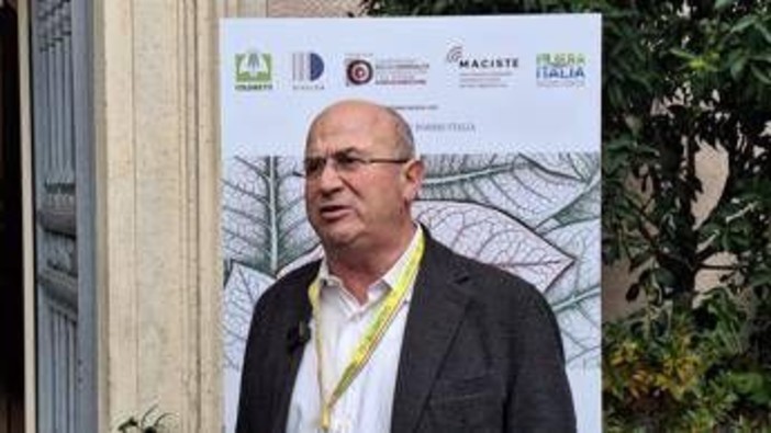 Tabacco, Trippella (Filiera tabacchicola italiana): "Rischio di arretrare con politiche europee" Tabacco, Trippella (Filiera tabacchicola italiana): "Rischio di arretrare con politiche europee"