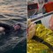Nuota per 160 km dalla Svezia alla Polonia e attraversa il Mar Baltico in 56 ore Nuota per 160 km dalla Svezia alla Polonia e attraversa il Mar Baltico in 56 ore
