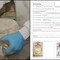 Gorgonzola richiamato dai supermercati per possibile Listeria: cosa sapere (e il lotto da evitare) Gorgonzola richiamato dai supermercati per possibile Listeria: cosa sapere (e il lotto da evitare)