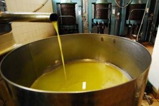 Unifol: "Per movimenti dell'olio sfuso sì alla bolla elettronica " Unifol: "Per movimenti dell'olio sfuso sì alla bolla elettronica "