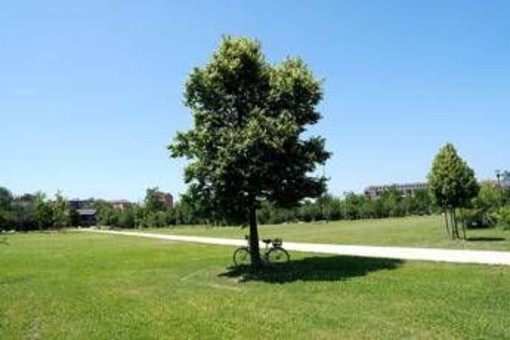 Estate piena nel weekend poi arriva l'autunno con forti temporali Estate piena nel weekend poi arriva l'autunno con forti temporali