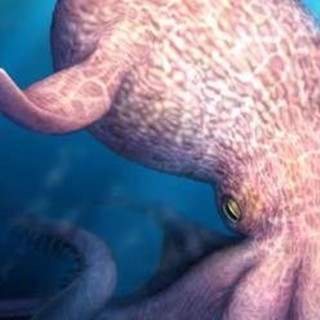 Il Kraken è esistito e dominava gli oceani, la scoperta sul 'mostro dei mari'
