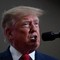 Trump insulta la Norvegia: "Fa schifo, non voglio nessun immigrato" Trump insulta la Norvegia: "Fa schifo, non voglio nessun immigrato"
