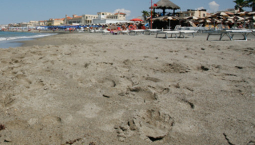 Ostia, si tuffa dal pontile e sbatte la testa: morto un ragazzo Ostia, si tuffa dal pontile e sbatte la testa: morto un ragazzo