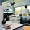 Ricerca, in Italia nel 2024 autorizzati 669 studi clinici: "Serve nuovo modello per ridefinire valore dati sanitari" Ricerca, in Italia nel 2024 autorizzati 669 studi clinici: "Serve nuovo modello per ridefinire valore dati sanitari"