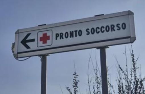 Morso di zecca e rischio encefalite, Bassetti: "Grave infezione virale, massima attenzione" Morso di zecca e rischio encefalite, Bassetti: "Grave infezione virale, massima attenzione"