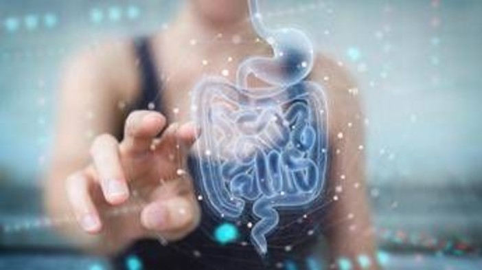 Scoperto perché asma e allergie alimentari cambiano: nascono da microbiota Scoperto perché asma e allergie alimentari cambiano: nascono da microbiota