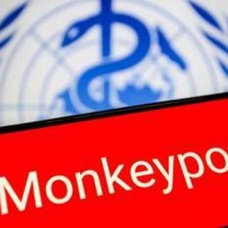 Vaiolo delle scimmie, Oms: "Mpox continua a circolare, a novembre 2.150 casi e 5 morti"