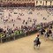 Palio Siena, il Nicchio torna a vincere dopo 28 anni: Tittia firma il cappotto personale Palio Siena, il Nicchio torna a vincere dopo 28 anni: Tittia firma il cappotto personale