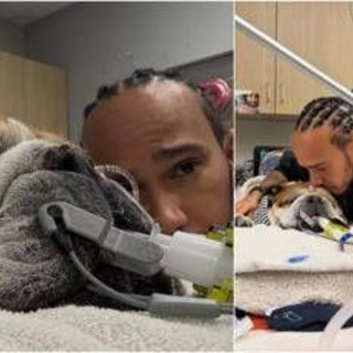 Hamilton, il cane Roscoe è malato: "Ha la polmonite, ora è in coma"
