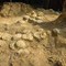 In Francia trovate oltre 100 uova di dinosauro, hanno 72 milioni di anni