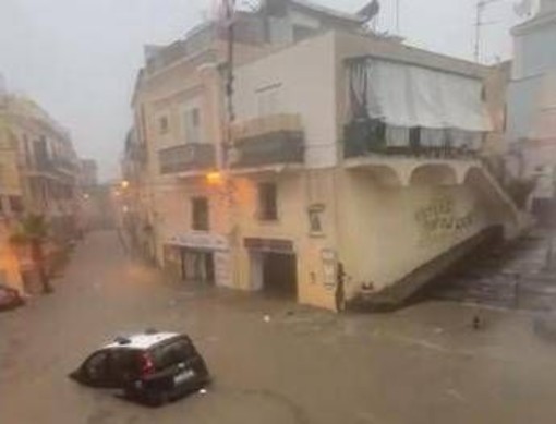 Maltempo da nord a sud: a Monza salvate mamma e figlia intrappolate in casa. Nubifragio su Ischia, evacuata una scuola Maltempo da nord a sud: a Monza salvate mamma e figlia intrappolate in casa. Nubifragio su Ischia, evacuata una scuola