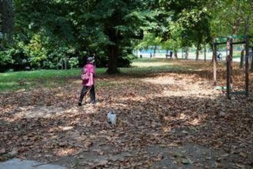 Arriva l'autunno, cos'è l'equinozio e quando cade Arriva l'autunno, cos'è l'equinozio e quando cade