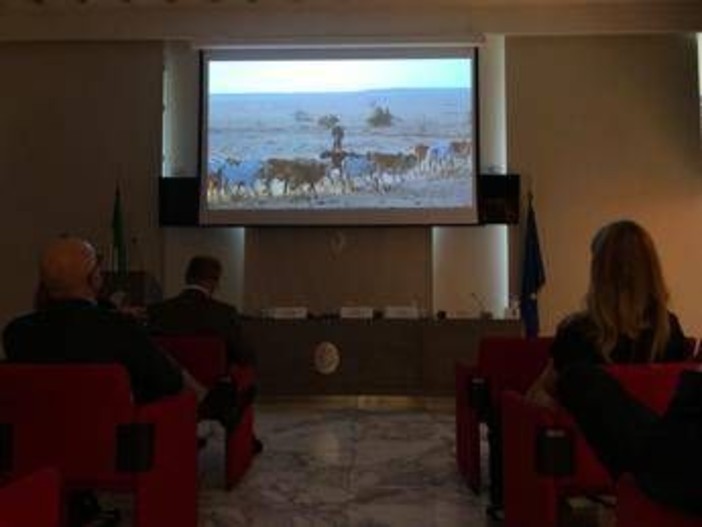 Alimenti, presentato docufilm 'World Without Cows': un mondo senza allevamenti